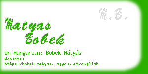 matyas bobek business card